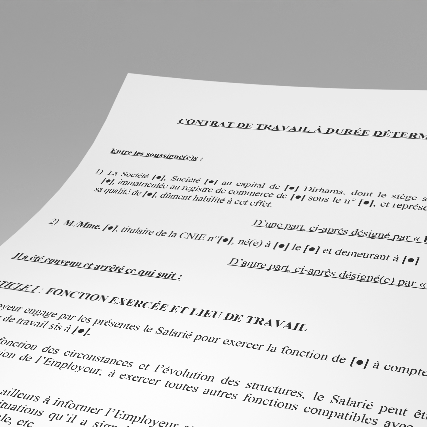 Fixed-term employment contract template « in French »